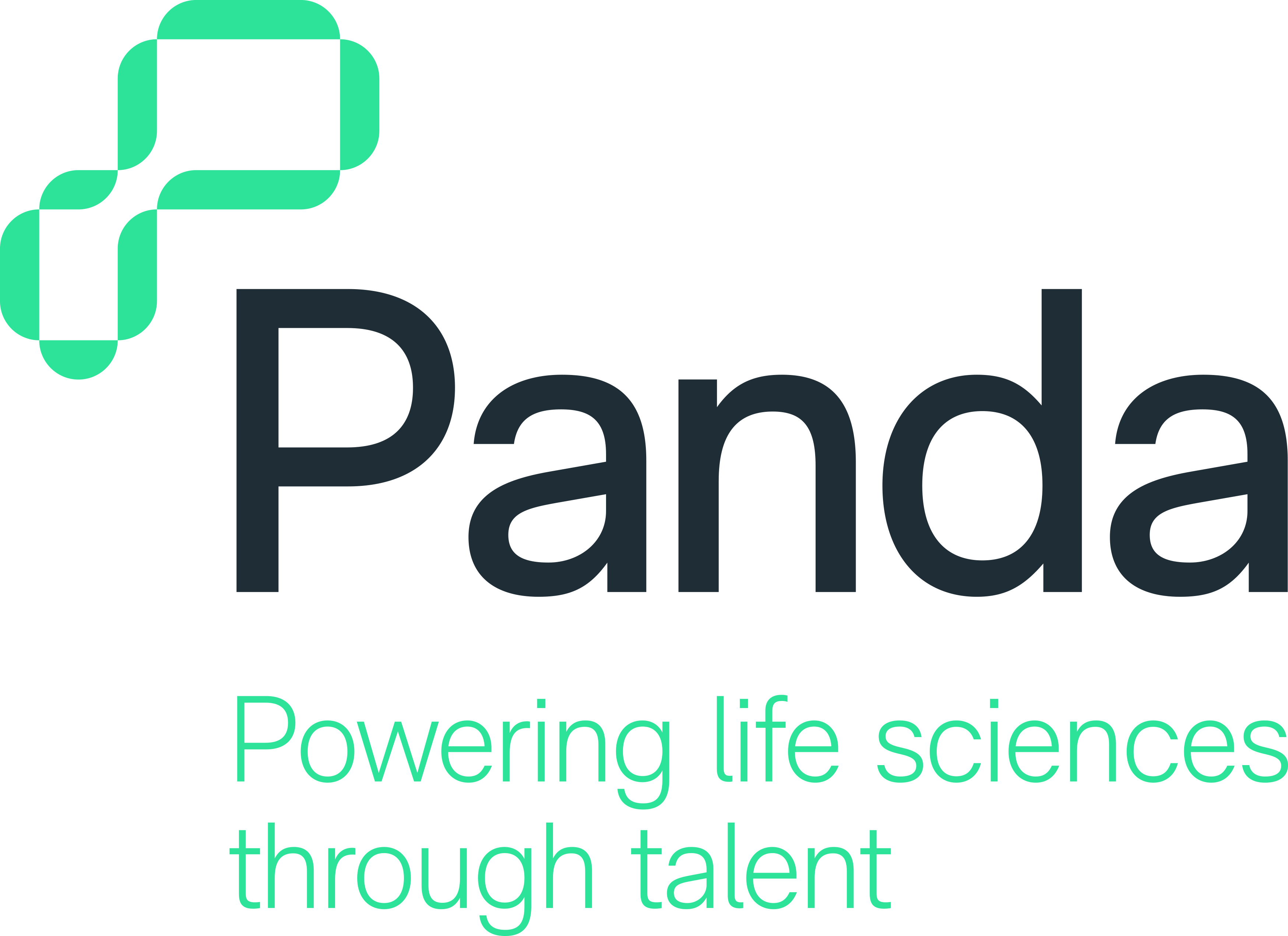 Branding - Panda Logo - 2023 - 1